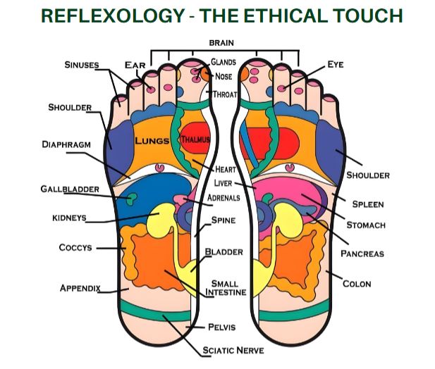Foot Reflexology